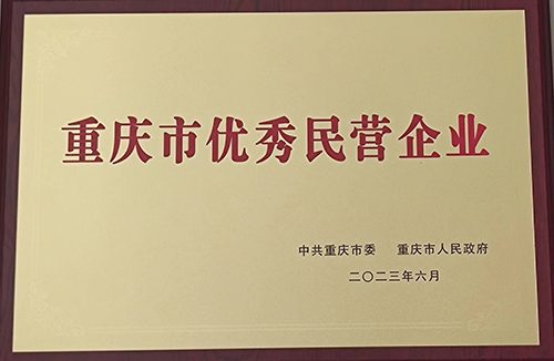 2023年6月重庆市优秀民营企业.jpg