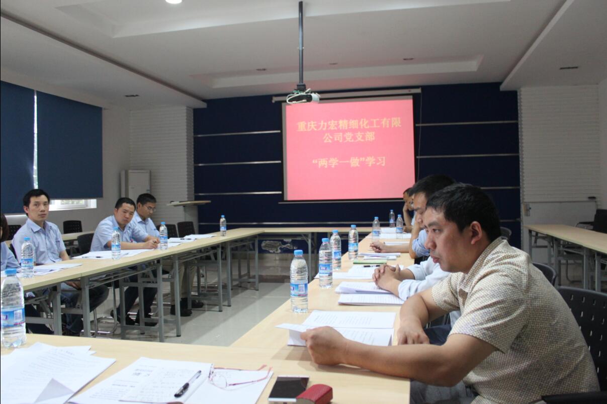 2016-5-19党支部学习.jpg